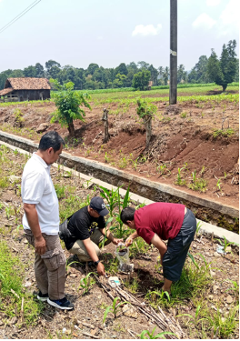 Nuclear Energy Regulatory Agency – BAPETEN Conducts Field Verification on Findings of Radioactively Contaminated Clove Commodities in Lampung